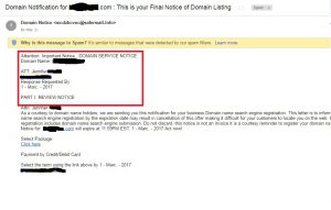 Scam domain registration private information wrong