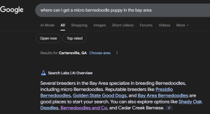 Client site included in Google AI generated answers