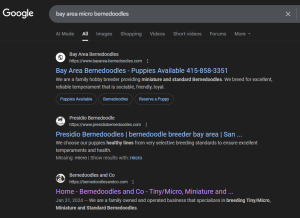 Ranking local website
