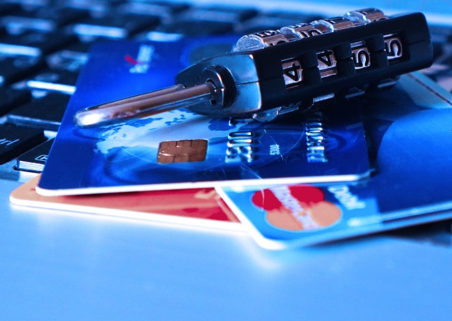 ecommerce credit card fraud